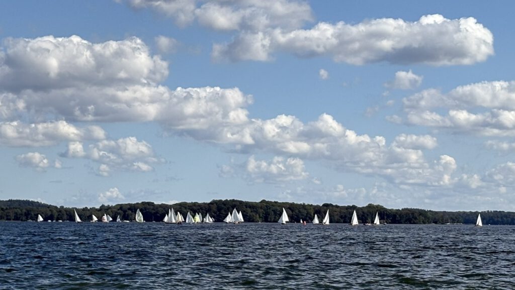 Holzboote auf dem Schweriner See